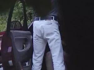 - pequeña videos por ...